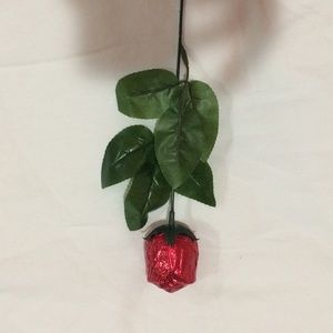 Meet your Posher, Natalir